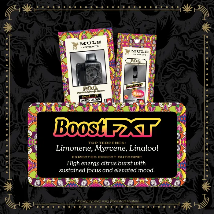 Boost FXT