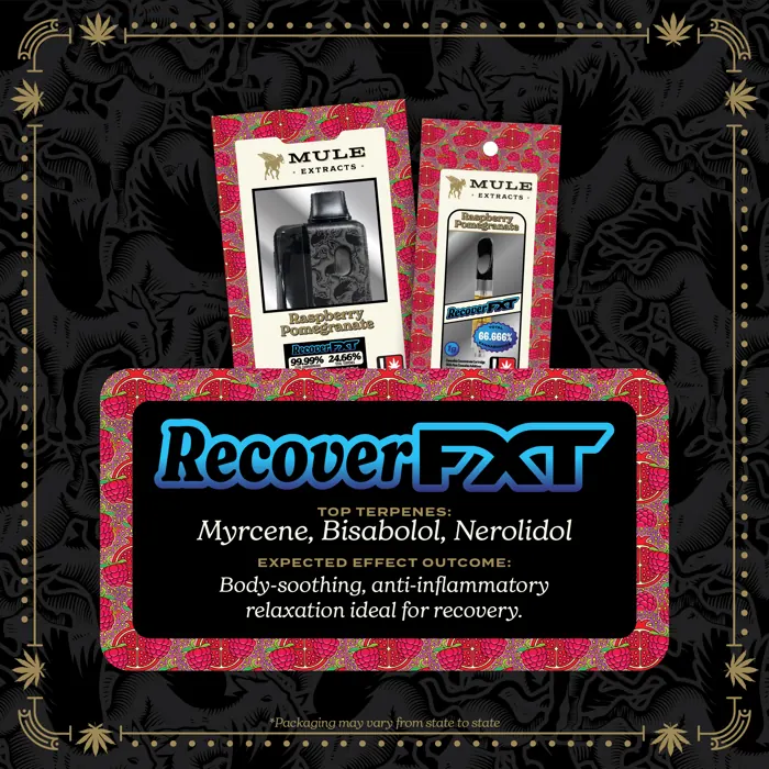 Recover FXT