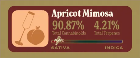 Apricot Mimosa Dank Tank