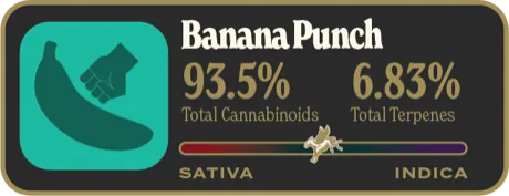 Banana Punch Dank Tank