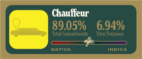 Chauffeur Dank Tank
