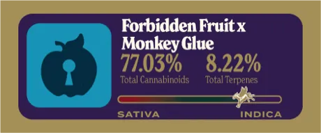 Forbidden Fruit x Monkey Glue Dank Tank