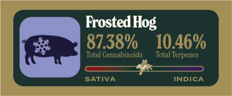 Frosted Hog Dank Tank