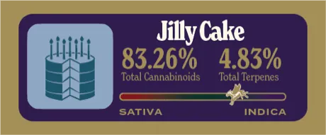 Jilly Cake Dank Tank