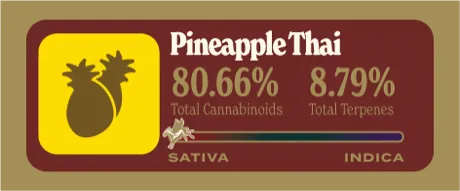 Pineapple Thai Dank Tank
