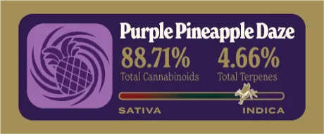 Purple Pineapple Daze Dank Tank