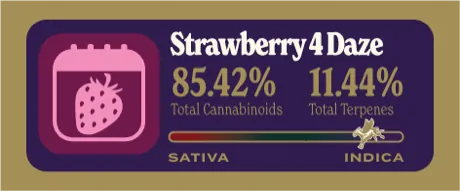 Strawberry 4 Daze Dank Tank