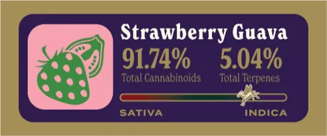 Strawberry Guava Dank Tank