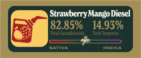 Strawberry Mango Diesel Dank Tank