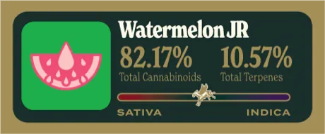 Watermelon JR Dank Tank