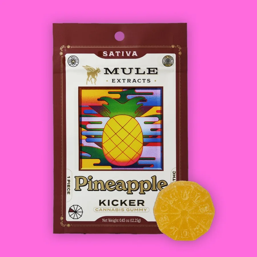 Pineapple pack render