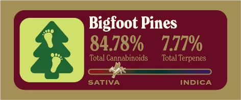 Bigfoot Pines Pure Live Resin front label