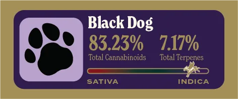 Black Dog Pure Live Resin front label
