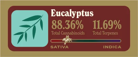 Eucalyptus Pure Live Resin front label