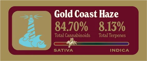 Gold Coast Haze Pure Live Resin front label