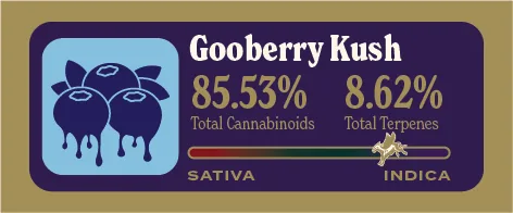 Gooberry Kush Pure Live Resin front label