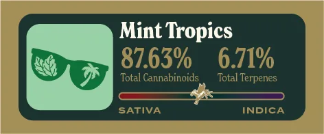 Mint Tropics Pure Live Resin front label