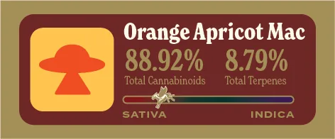 Orange Apricot MAC Pure Live Resin front label