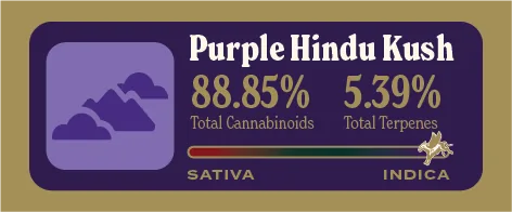 Purple Hindu Kush Pure Live Resin front label