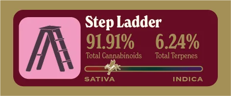Step Ladder Pure Live Resin front label