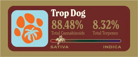 Trop Dog Pure Live Resin front label
