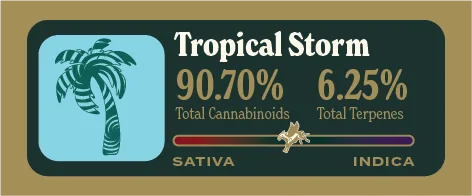 Tropical Storm Pure Live Resin front label