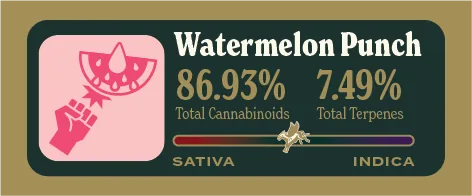 Watermelon Punch Pure Live Resin front label