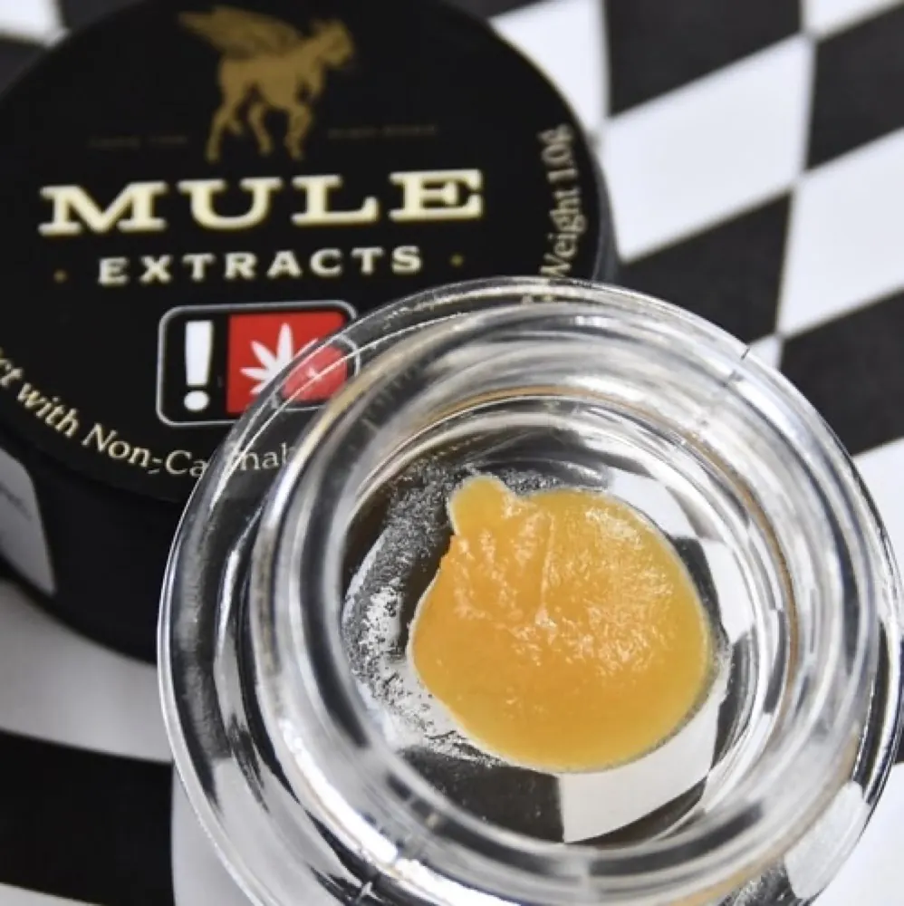 Mule Extracts live resin in a glass jar